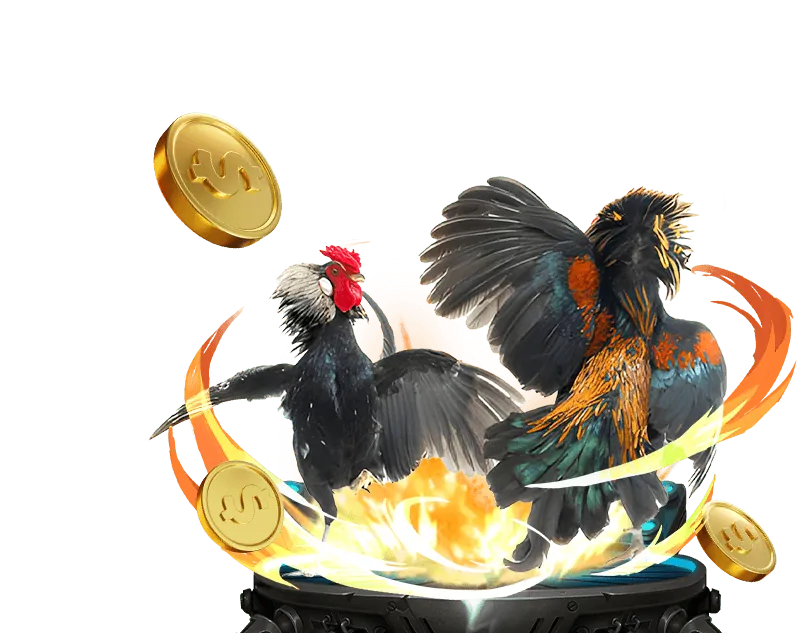 Các sự kiện đặc biệt