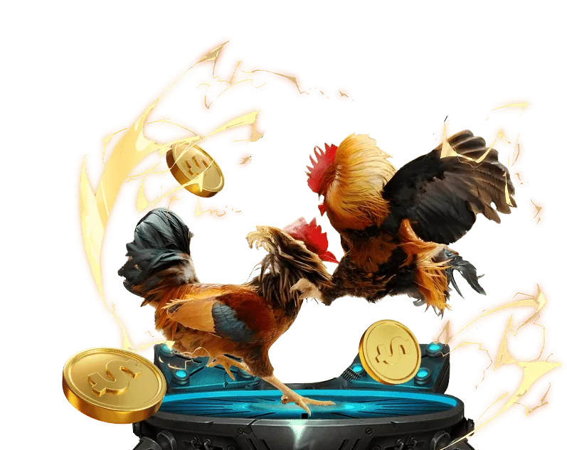 Hình ảnh chính về đá gà 2024 tại Đá Gà 368